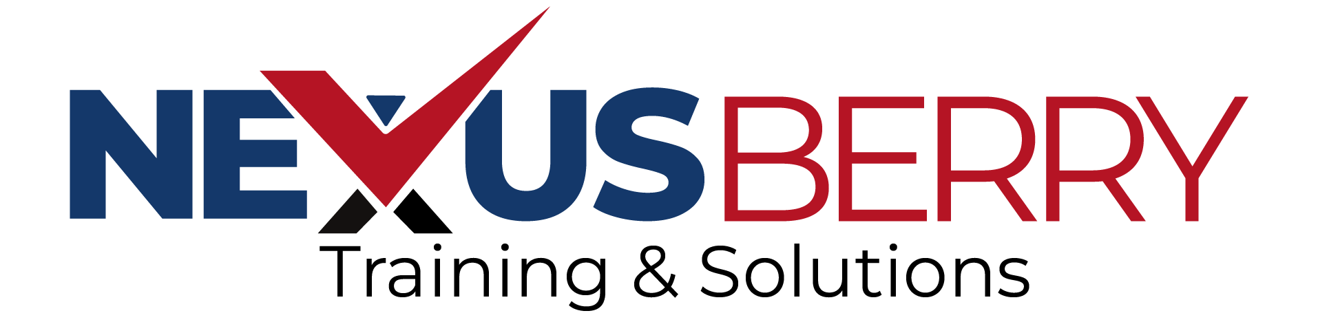 NexusBerry Logo